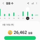 낙동강변18 이미지