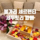 불가리 세르펜티 세두토리 파베 다이아 워치 구매 후기