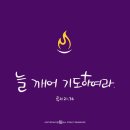 대림 제1주일 이미지