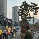 명태한상