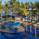 방앤피그 이미지