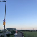 반여상회 | [빵이동반여행/제주도] 반려동물 동반 제주일주일살기 5,6,7일차(노바운더리 제주, 성산리140, 비밀의...