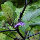 햇살슈퍼 이미지