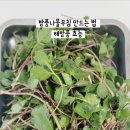 순이네홈 네이버블로그