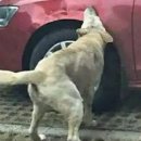 타이어마을 이미지