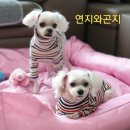 연지동물병원 이미지