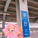 족발있슈 이미지