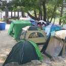 민들레2농장 이미지