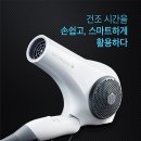 베이직솔루션