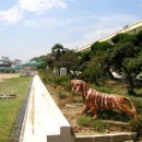 군동초등학교 이미지