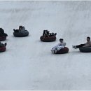 용인대 참 태권도장 이미지