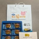 황금복돼지 | 부산 기념품 추천 달달하고 촉촉한 황금복돼지빵 후기