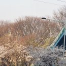 무지개옷수선 이미지