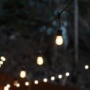 뿌리 유치원 이미지