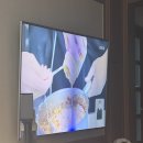 삼미리 펫 모범택시 | 오랜만!