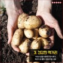 강촌식품
