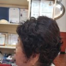 수화 헤어톡 이미지