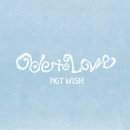 NCT WISH 정규 1집 Ode to Love 발매! 앨범 사양 비교, 신곡 가사 해석 및 팝업스토어 예약 총정리