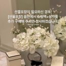 워시베이 이미지