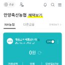 안양축산농협안