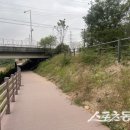 금촌천 이미지