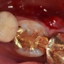 보배로운치과의원 이미지