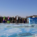 코끼리카써비스 이미지