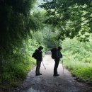 산청군청 이미지