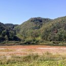 해미레2 이미지