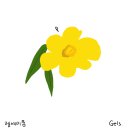 레메디움 이미지