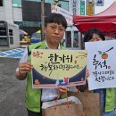 소답시장 이미지