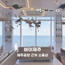 셀러뷰 | 제주공항 근처 소품샵 뷰맛집 바이제주 과자 선물 기념품 구매 후기