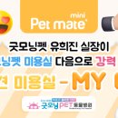MY이솝 이미지