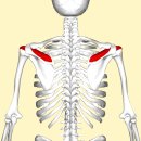 이재영한의원 이미지
