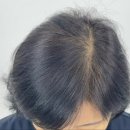 루시드닷(LUCIDDOT) 이미지