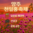 양주기초푸드뱅크 | 입장료 전액 페이백! 양주 천일홍 축제 200% 즐기는 3가지 꿀팁