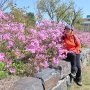 청보리 농장 이미지