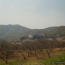 용천리 오층석탑 Daum카페
