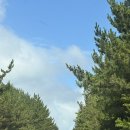 토스트럭 | Wiee 위이 제주, 베이컨시 소품샵, 판포포구 물놀이, 은하요가, 굿나잇 굿럭, 수영밥상, 바이닐 제주, 베릴