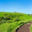 월호목장 이미지