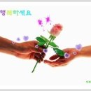 신월용
