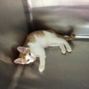 세븐메디컬 이미지