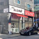 엔젤스 도그 이미지