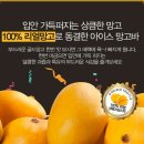 [판매완료]100%냉동과일스틱~ 아이스 망고바!! 이미지