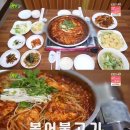 새산호복어 이미지