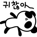 하이오징어
