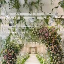 밝은유통 | 대구 웨딩홀 투어｜밝은홀+야외웨딩 다 되는 엘파소웨딩 솔직후기 (숲속결혼식 감성)