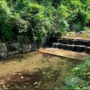 포시즌스 오토캠핑장 이미지