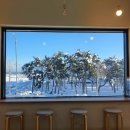 예쁘다. 하조대 이미지