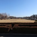 영남대학교 이미지